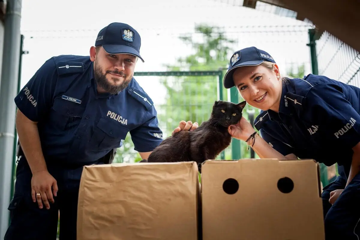 Policja w Kędzierzynie-Koźlu promuje adopcję zwierząt