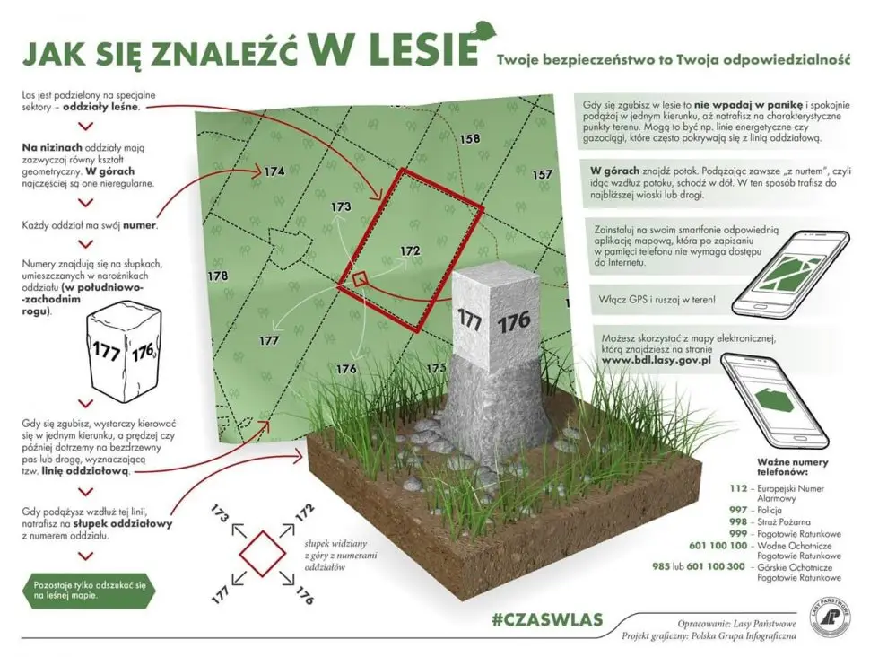 Bezpieczne zasady na grzybobranie