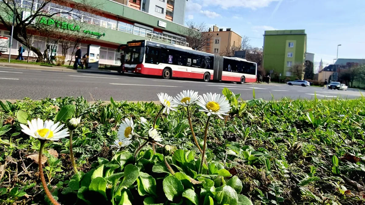 Rozkład jazdy komunikacji miejskiej w czasie Bożego Ciała