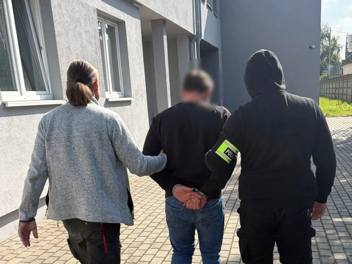 Zatrzymanie 33-latka podejrzanego o znęcanie się nad dziećmi i psem