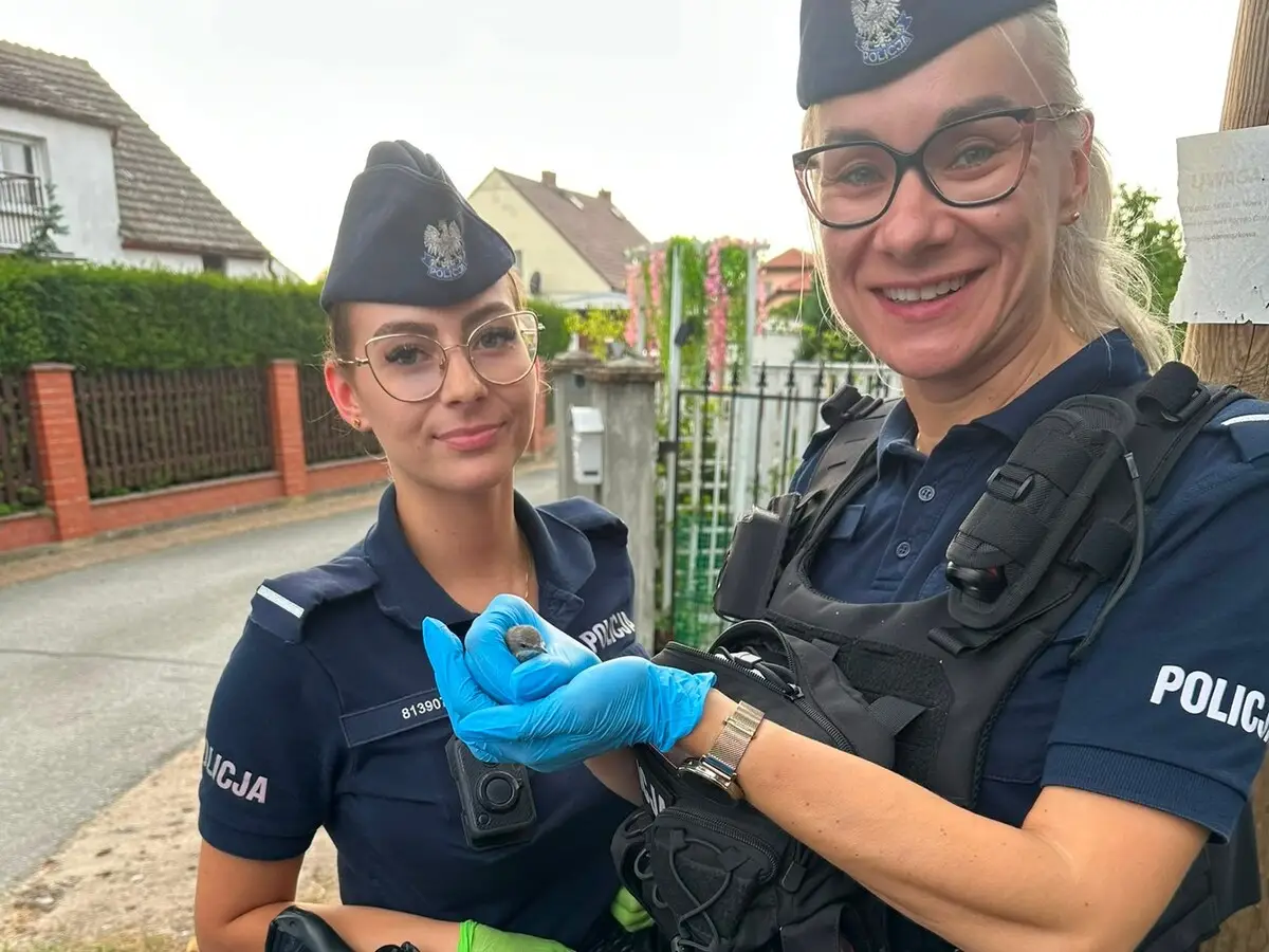Interwencja policji w sprawie rannego ptaka
